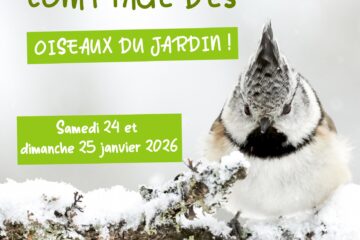 affichage comptage des oiseaux du jardin 2026