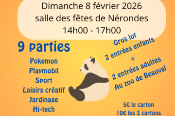 affiche des rifles de l'apeepn