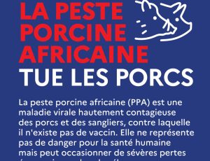 Informations sur la Peste Porcine Africaine