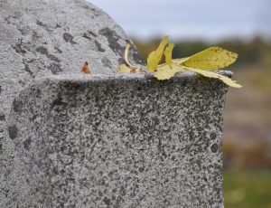 Sépultures dégradées  au Cimetière
